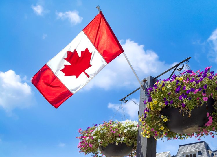 vibeAI Canada office
